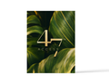 Access 47 Evergreen Execution Journal