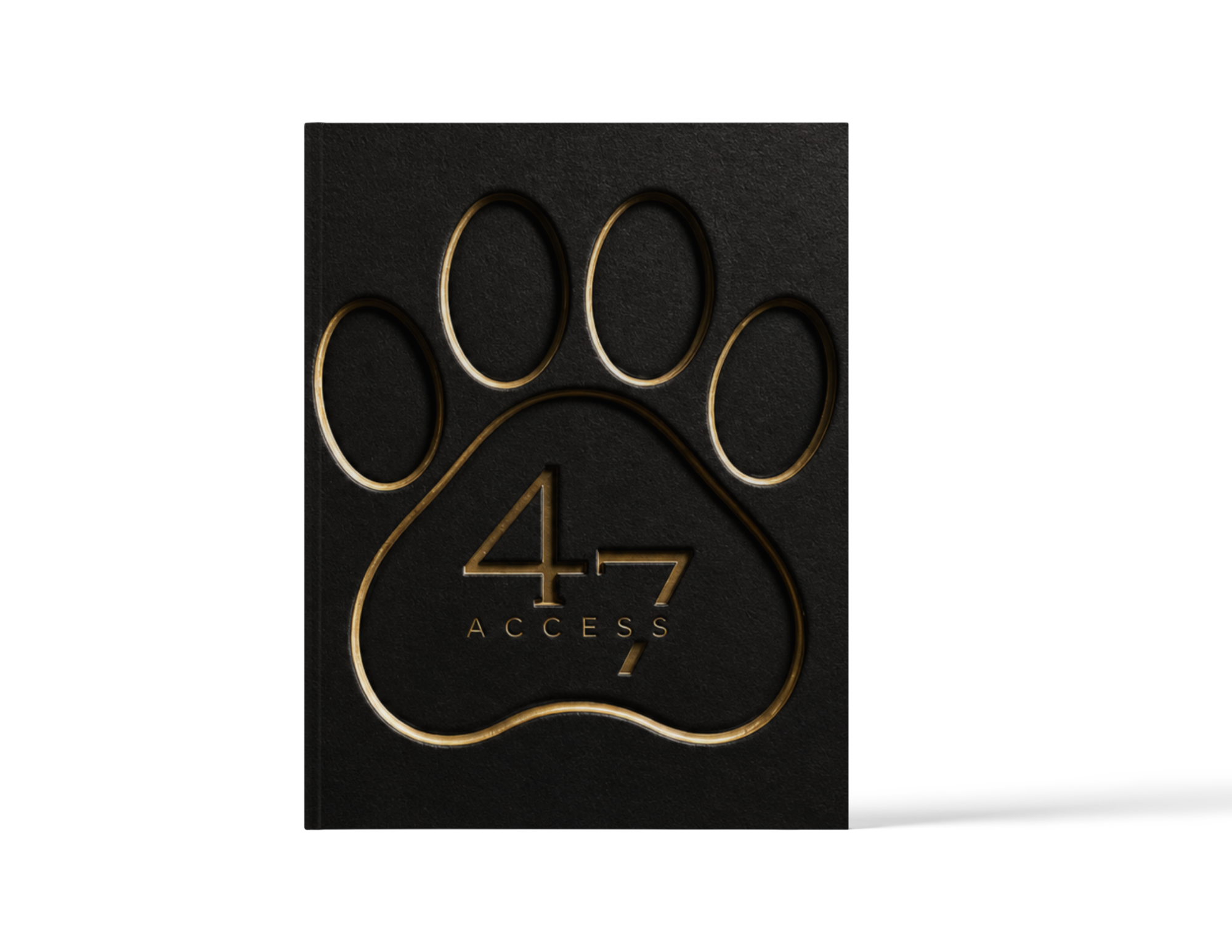 Access 47 Loyal Noir Execution Journal