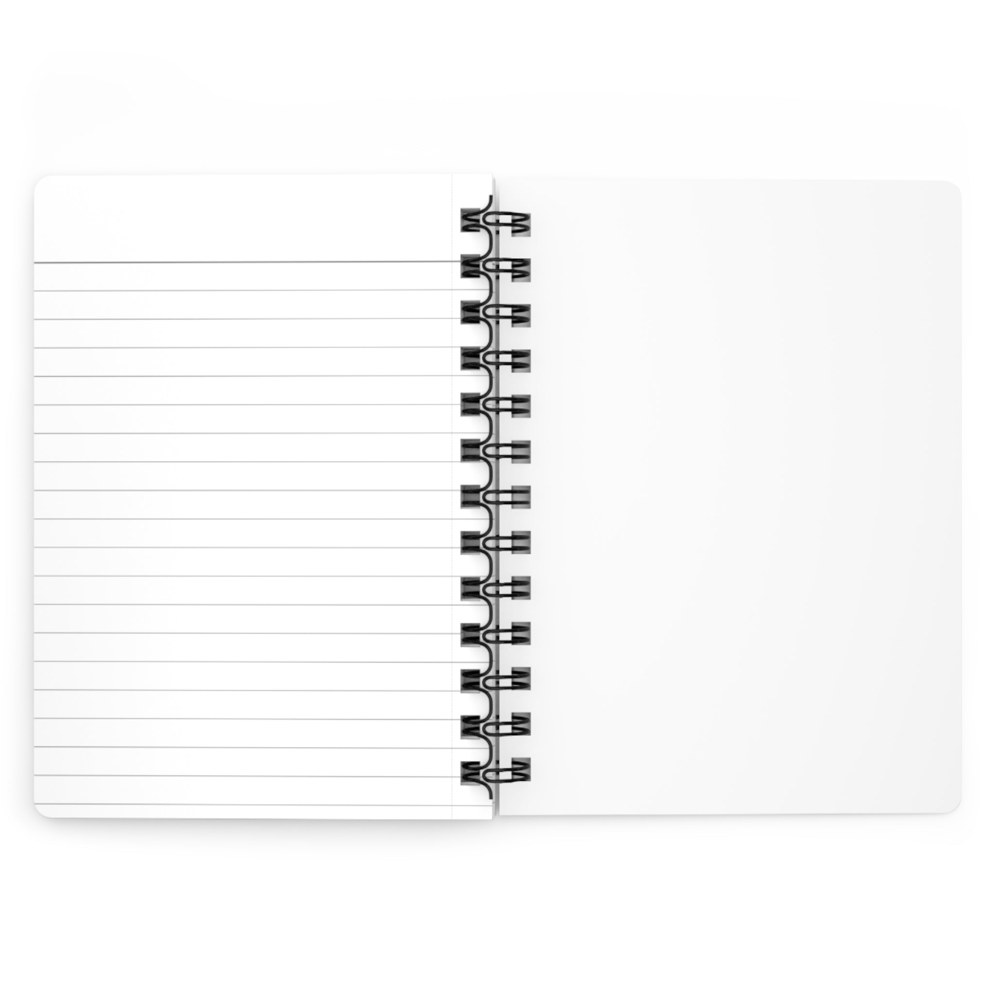 Access 47 Disciplined Noir | Signature Spiral Journal