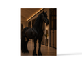 Access 47 Black Stallion Execution Journal