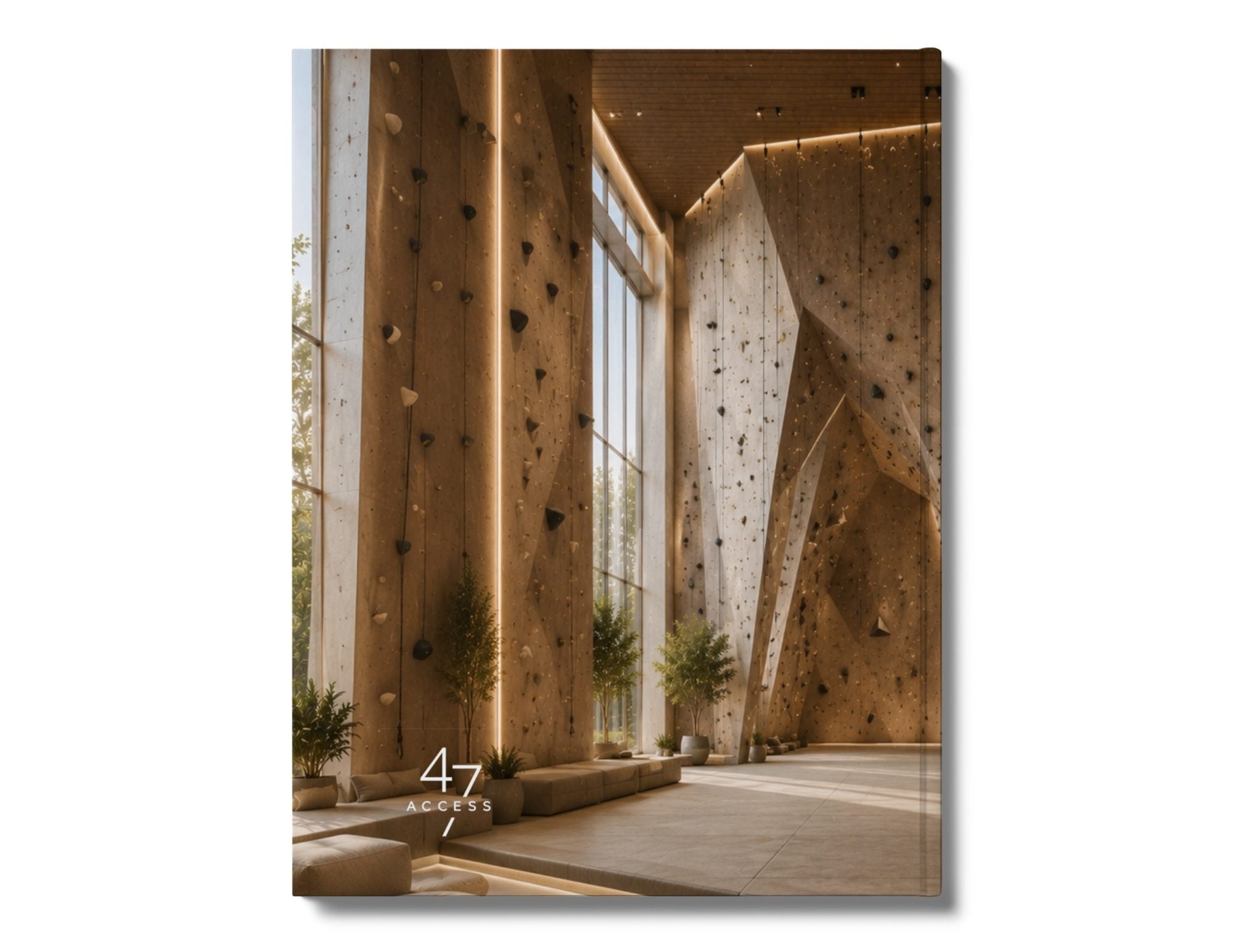 Back cover of the Access 47 Execution Journal – Stepping Stone