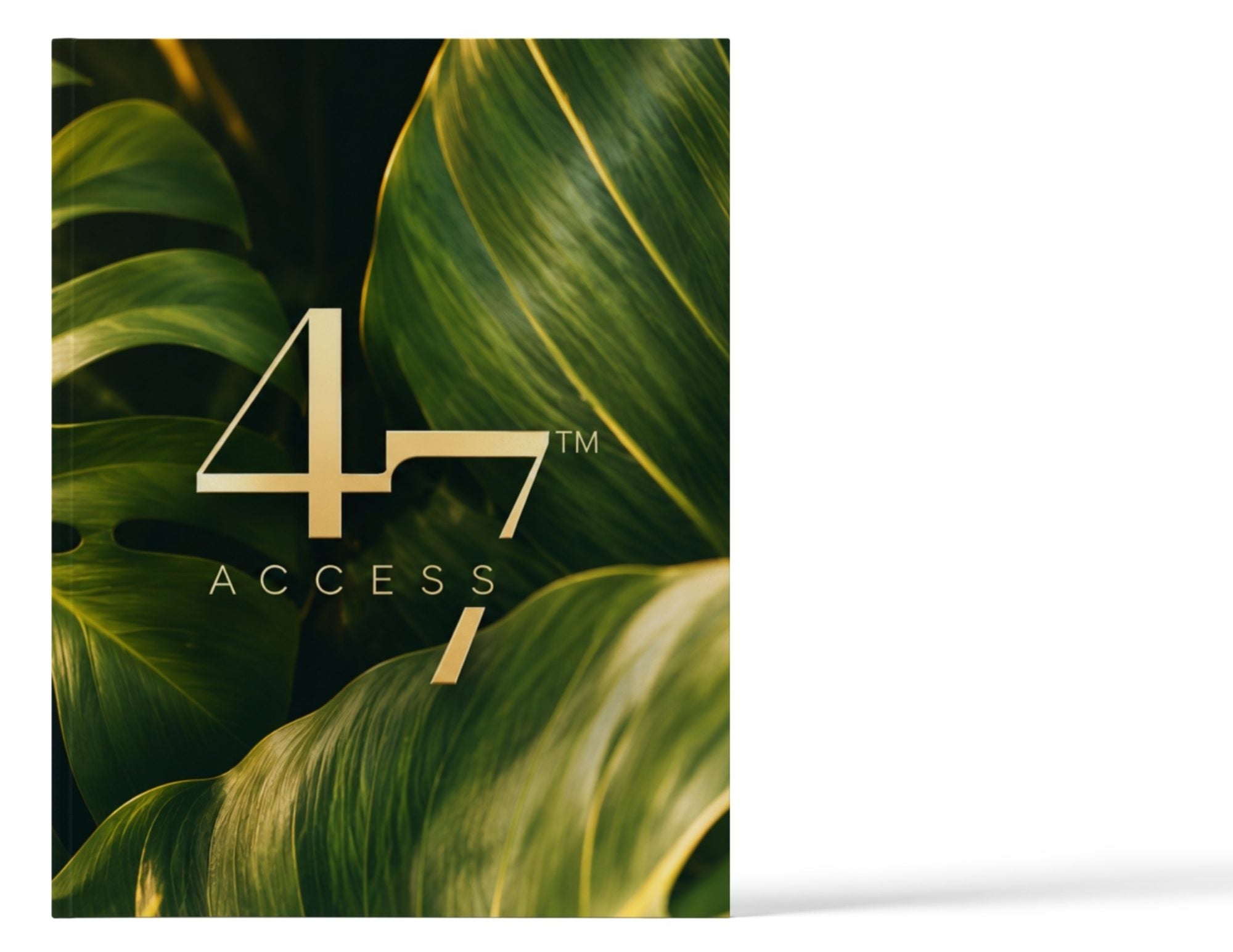 Access 47 Execution Journal – Evergreen front cover