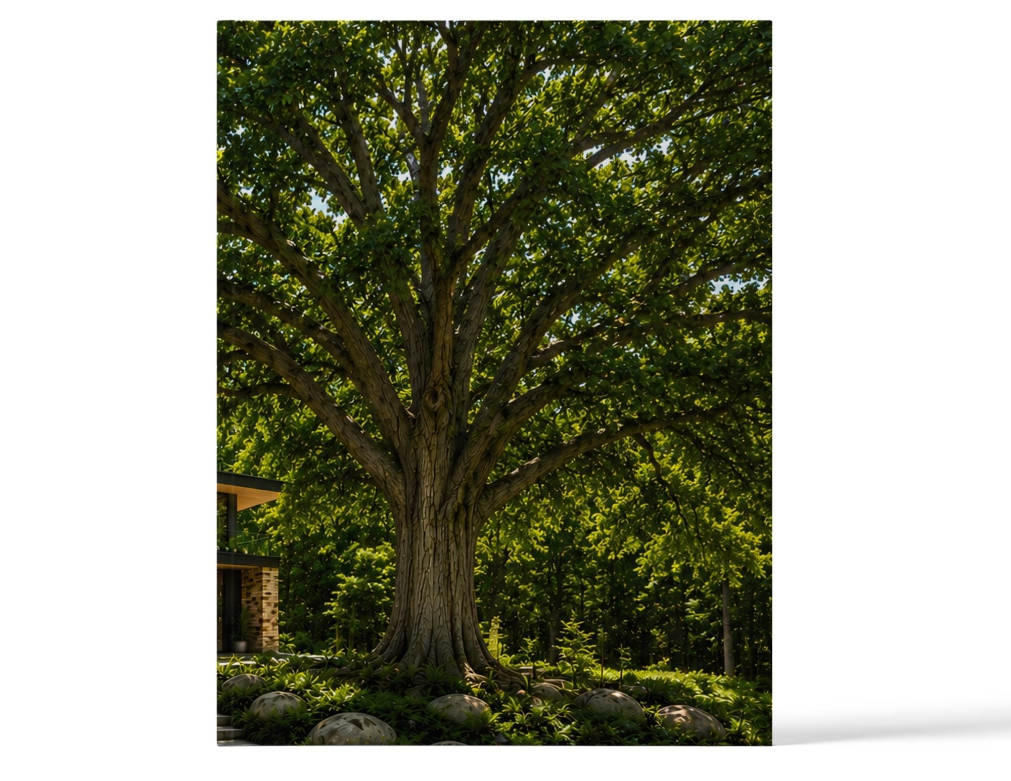 Access 47 Execution Journal – Rooted front cover